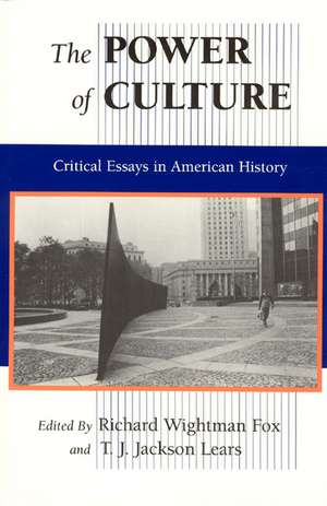 The Power of Culture: Critical Essays in American History de Richard Wightman Fox