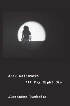 Jack Goldstein: All Day Night Sky de Alexander Dumbadze