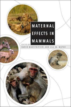 Maternal Effects in Mammals de Dario Maestripieri