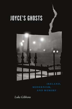 Joyce's Ghosts: Ireland, Modernism, and Memory de Professor Luke Gibbons