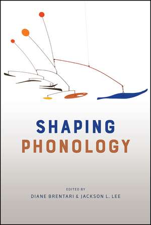 Shaping Phonology de Diane Brentari