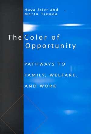 The Color of Opportunity: Pathways to Family, Welfare, and Work de Haya Stier