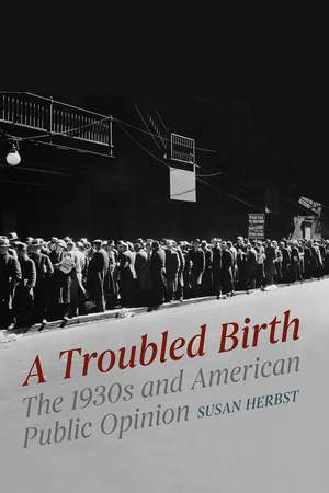 A Troubled Birth: The 1930s and American Public Opinion de Susan Herbst