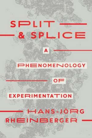 Split and Splice: A Phenomenology of Experimentation de Hans-Jörg Rheinberger