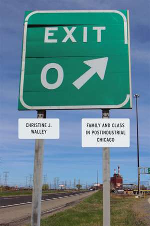 Exit Zero: Family and Class in Postindustrial Chicago de Christine J. Walley