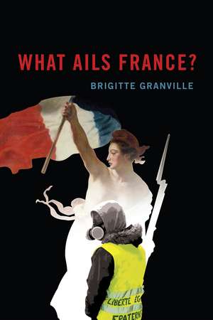 What Ails France? de Brigitte Granville