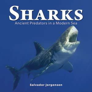 Sharks de Salvador Jorgensen