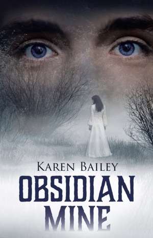 Obsidian Mine de Karen Bailey