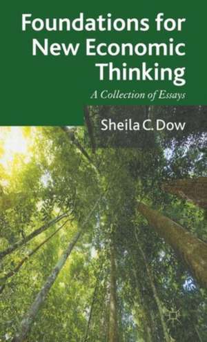 Foundations for New Economic Thinking: A Collection of Essays de S. Dow