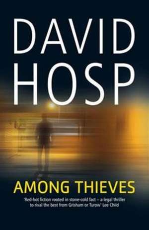 Hosp, D: Among Thieves de David Hosp