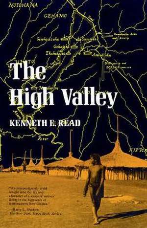 The High Valley (Paper) de K Read