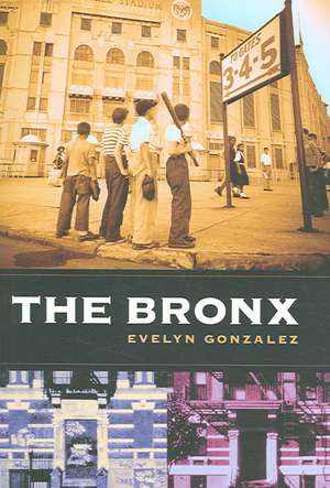 The Bronx de Evelyn Gonzalez