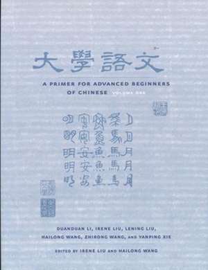 A Primer for Advanced Beginners of Chinese de Duanduan Liu