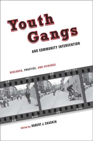 Youth Gangs and Community Intervention – Research, Practice, and Evidence de Robert Chaskin