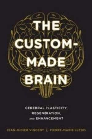 The Custom–Made Brain – Cerebral Plasticity, Regeneration, and Enhancement de Jean–didier Vincent