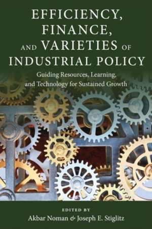 Efficiency, Finance, and Varieties of Industrial Policy de Akbar Noman