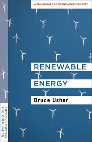 Renewable Energy – A Primer for the Twenty–First Century de Bruce Usher