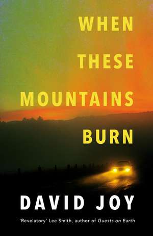 When These Mountains Burn de David Joy