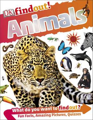 DKfindout! Animals de DK