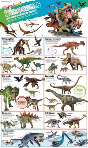 DKfindout! Dinosaurs Poster de DK