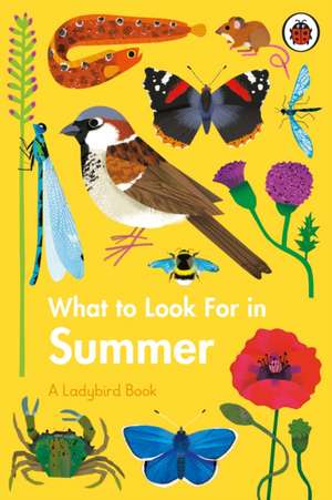 What to Look For in Summer de Elizabeth Jenner