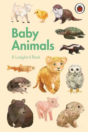 A Ladybird Book: Baby Animals de Stephanie Fizer Coleman