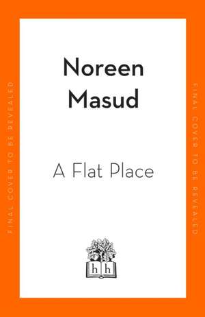 A Flat Place de Noreen Masud