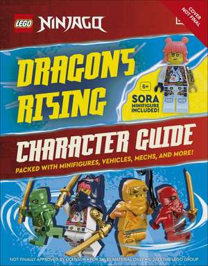 LEGO Ninjago Dragons Rising Character Guide: With LEGO Sora Minifigure de Shari Last