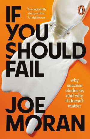 If You Should Fail: Why Success Eludes Us and Why It Doesn’t Matter de Joe Moran