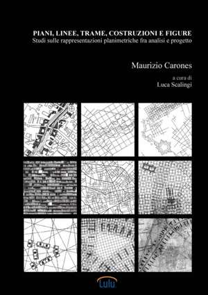 Piani, linee, trame, costruzioni e figure. Studi sulle rappresentazioni planimetriche fra analisi e progetto de Maurizio Carones