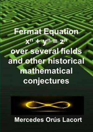 Fermat Equation over several fields and other historical mathematical conjectures de Mercedes Orús Lacort