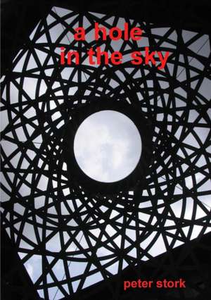 a hole in the sky de Peter Stork