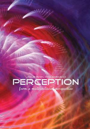 Perception from a multicultural perspective de Jakub Tencl