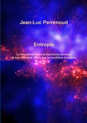 Entropie de Jean-Luc Perrenoud