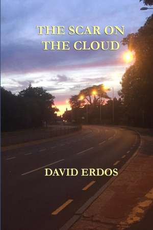 The Scar on the Cloud de David Erdos