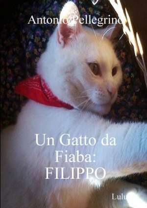 Un Gatto da Fiaba de Antonio Pellegrino