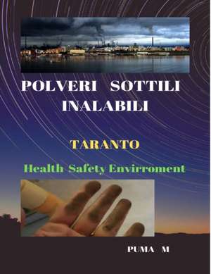 POLVERI SOTTILI INALABILI Ambiente Salute Safety Health de Puma M