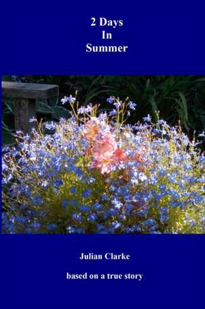 2 Days In Summer de Julian Clarke