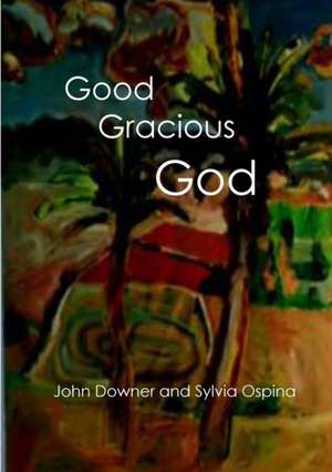 Good Gracious God de John Downer