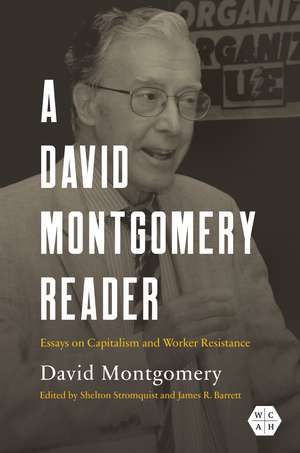 A David Montgomery Reader: Essays on Capitalism and Worker Resistance de David W. Montgomery