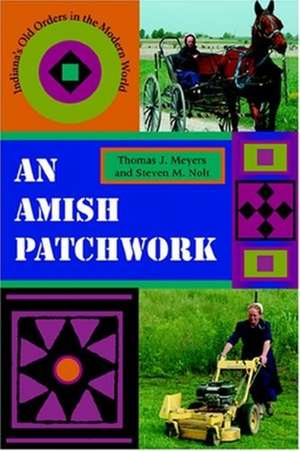 An Amish Patchwork – Indiana`s Old Orders in the Modern World de Thomas J. Meyers