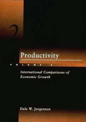 Productivity V 2 – International Comparisons of Economic Growth de Dale W. Jorgenson