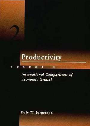 Productivity, Volume 2 de Dale W. Jorgenson
