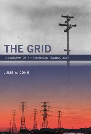 The Grid – Biography of an American Technology de Julie A Cohn