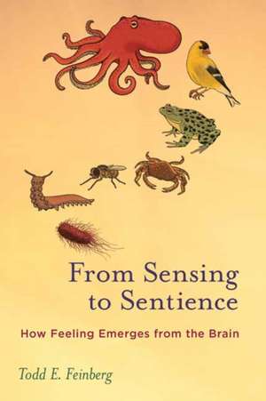 From Sensing to Sentience de Todd E. Feinberg