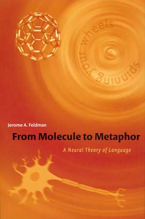 From Molecule to Metaphor – A Neural Theory of Language de Jerome A Feldman