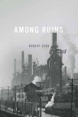 Among Ruins de Robert Gibb