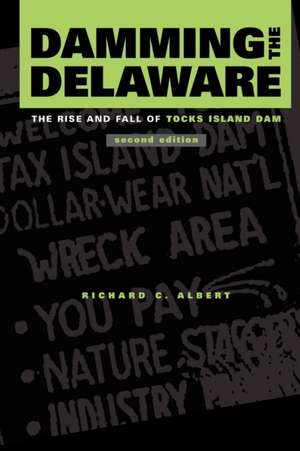 Damming the Delaware de Richard C. Albert