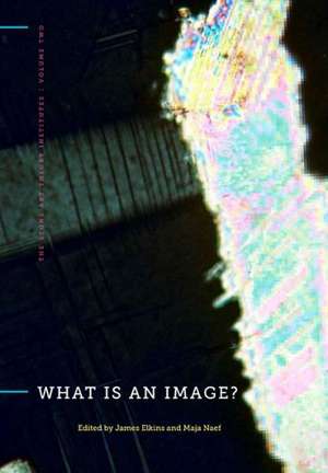 What Is an Image? de James Elkins