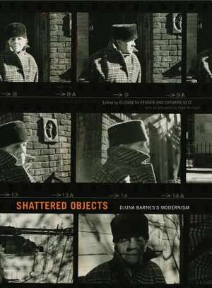 Shattered Objects de Elizabeth Pender